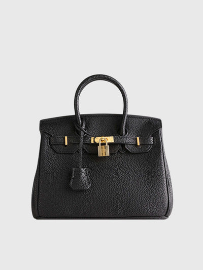 Colette - Petite Structured Lock Bag